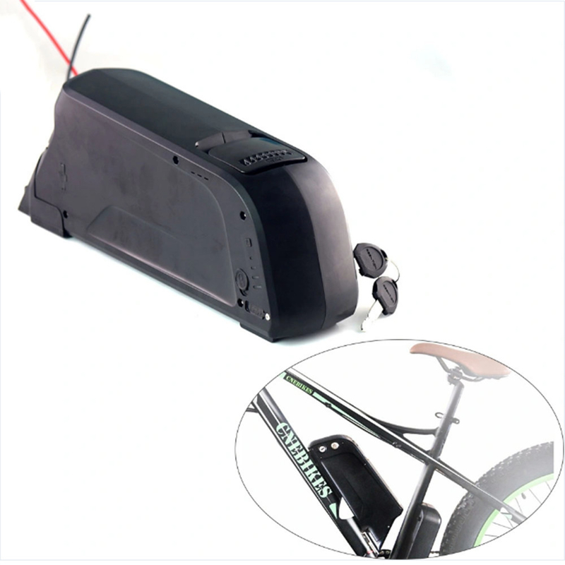 18650 Grade A Electric Bike Battery 48V 20Ah For 250W 350W 500W 750W Electric Bicycle